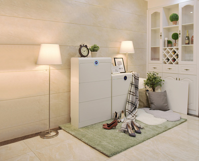 智能鞋柜護(hù)理機(jī) 現(xiàn)代家居護(hù)理的創(chuàng)新設(shè)計